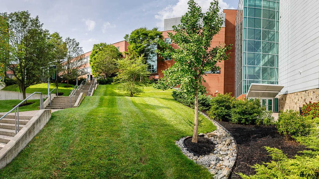 campus entrance panorama